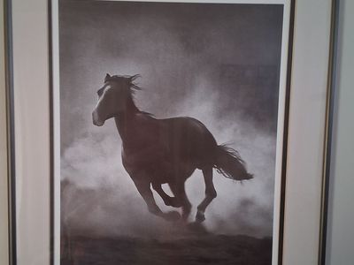 Horse Art