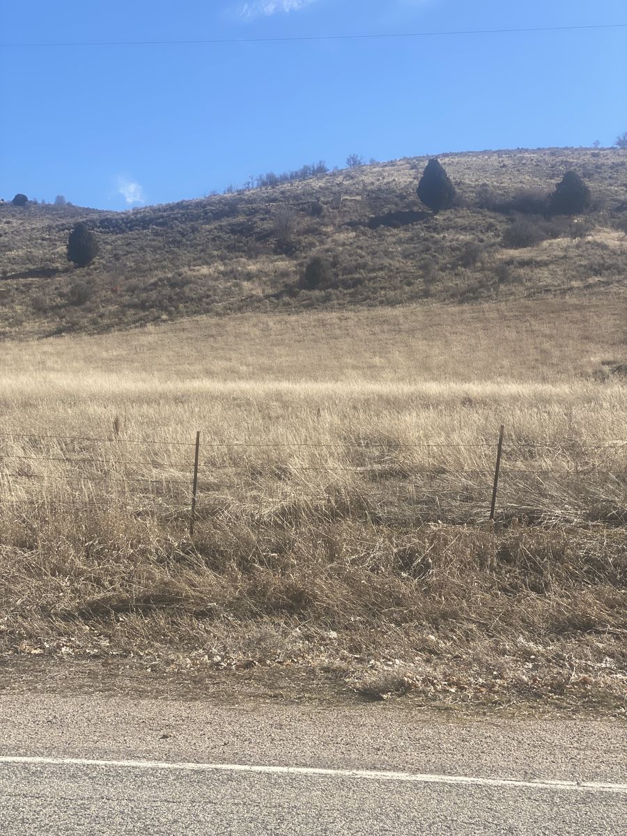 Mink Creek, Idaho Buildable 4 Acre Lot