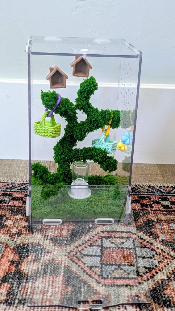 Jumping spider enclosure, coffin spider house for bold or regal jumping spider. No spider