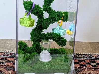 Jumping spider enclosure, coffin spider house for bold or regal jumping spider. No spider