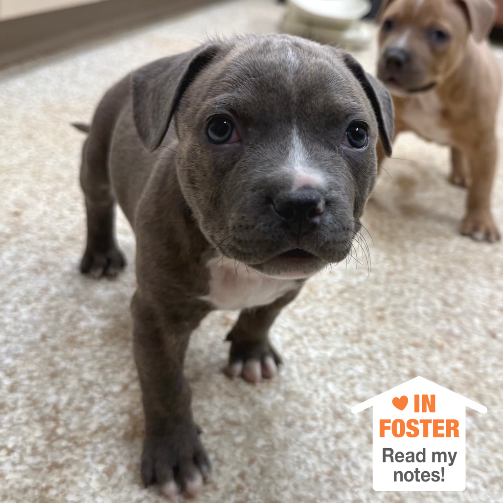 Hello my name is Manic Pixie Dreamgirl