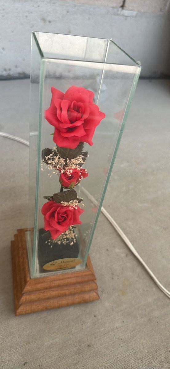 Red Roses Display, Forever Flowers, Glass Case on Wood Base, 13.5" Tall