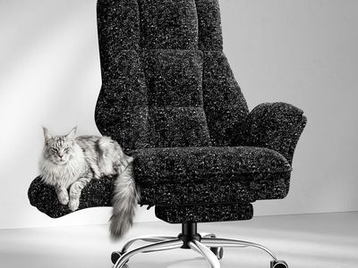 BRAND NEW Big and Tall Office Chair, Flip Armrests for Pets & Cross Legged Sitting Footrest Glitter