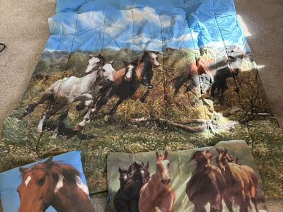 Twin Size Comforter Set