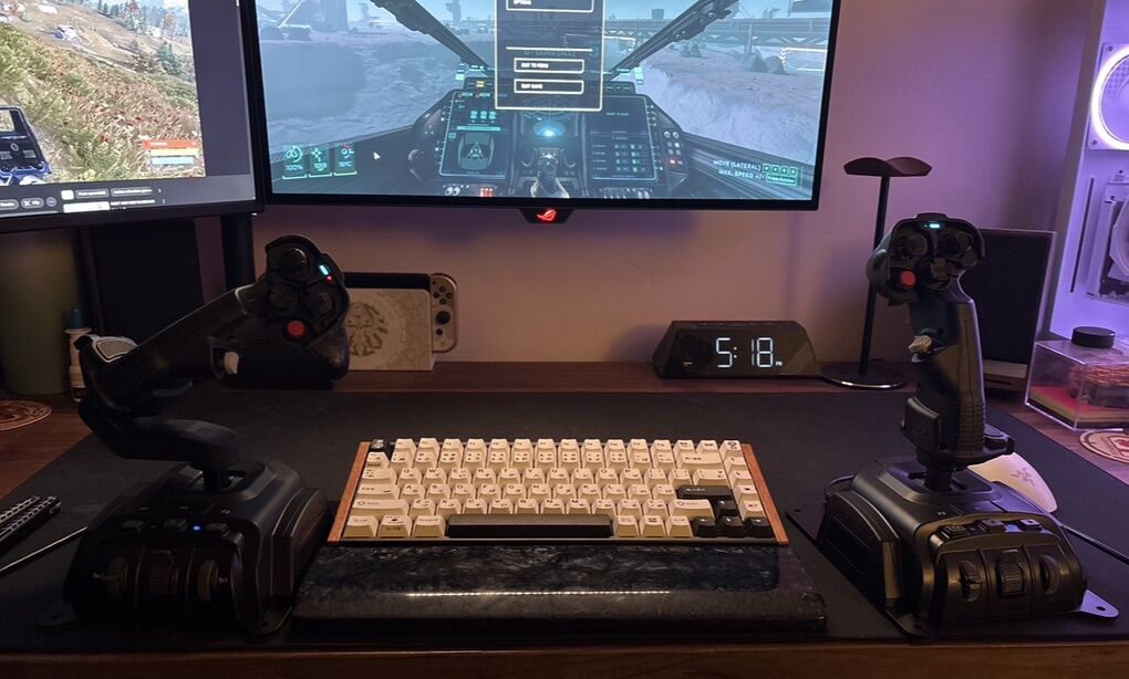 Dual VKB Gladiator NXT Evo