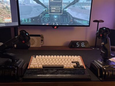 Dual VKB Gladiator NXT Evo