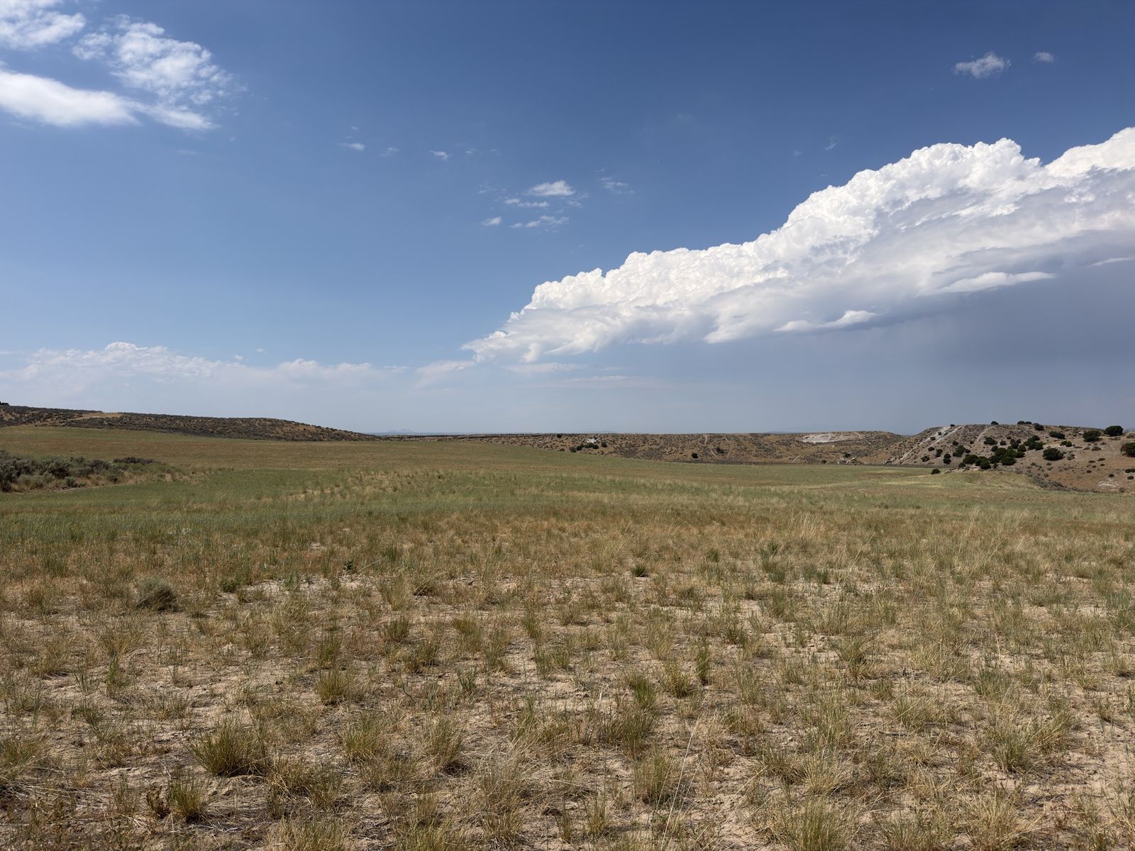 Main image 6