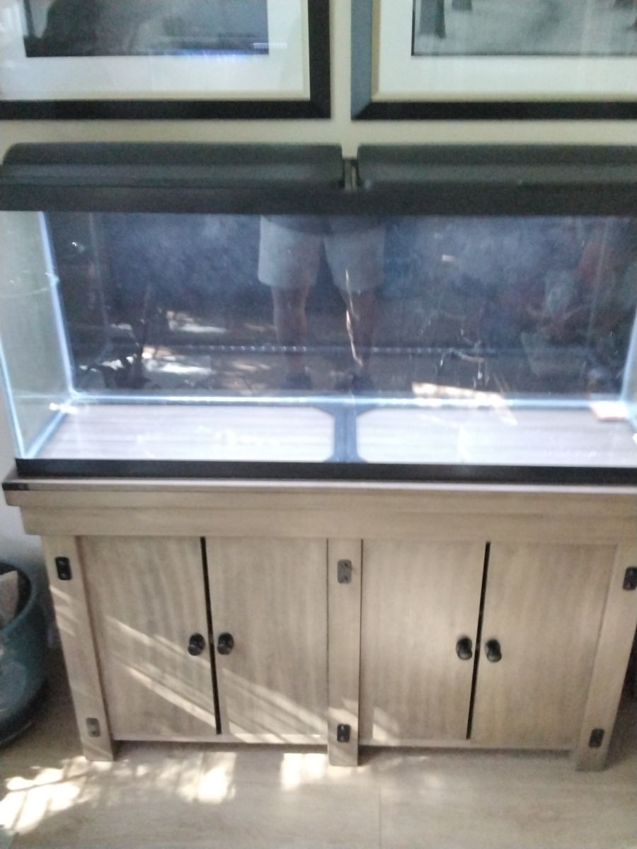 55 gallon tank, full LED hood and stand