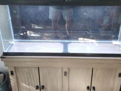55 gallon tank, full LED hood and stand