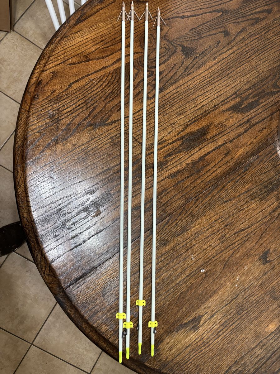 bow fishing arrows