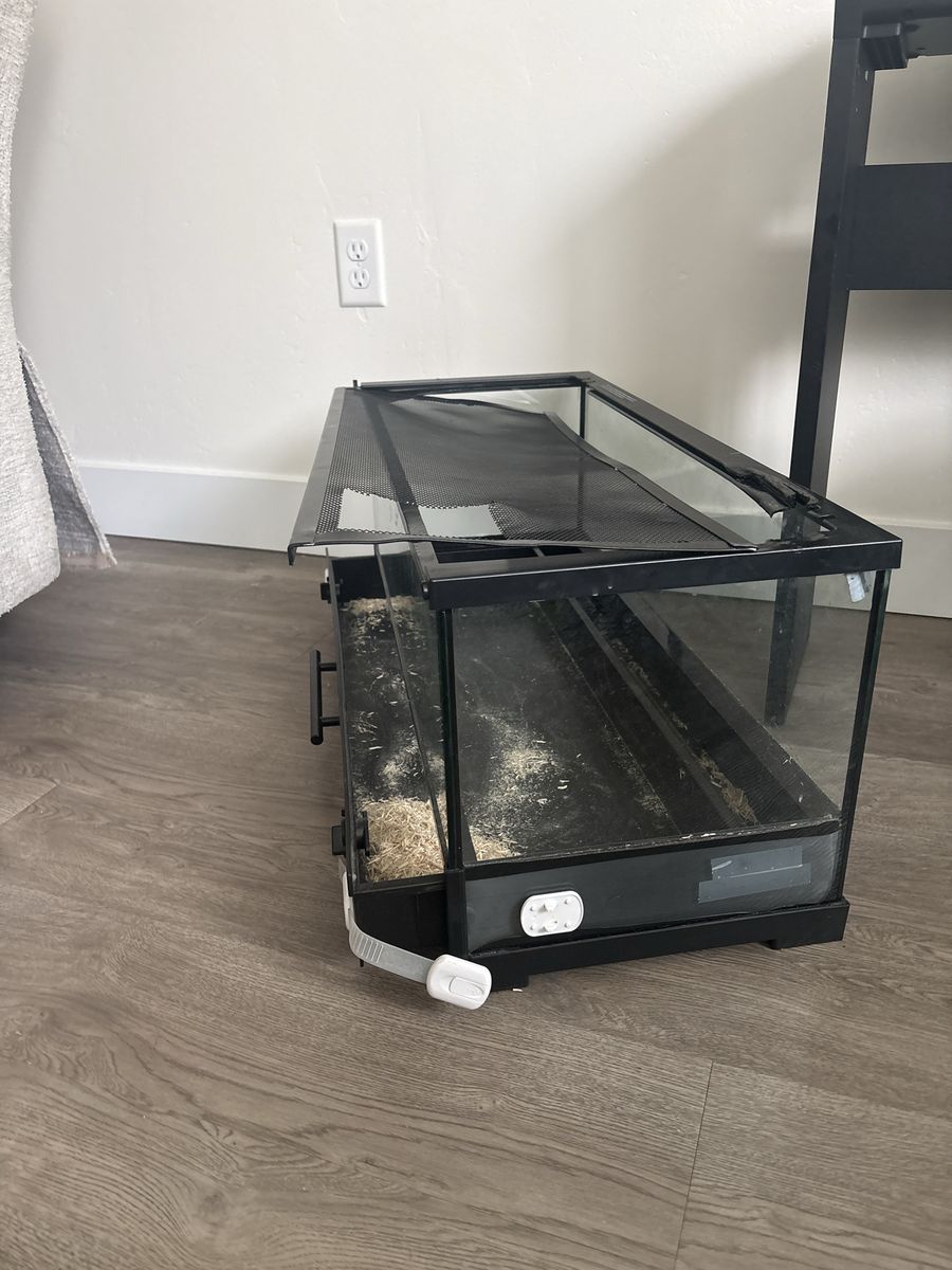 Used Large Glass Reptile Tank with Screen Top - Perfect for Small Reptiles
