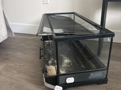 Used Large Glass Reptile Tank with Screen Top - Perfect for Small Reptiles