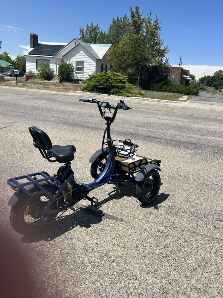 Electric Tricycle 1,100 OBO