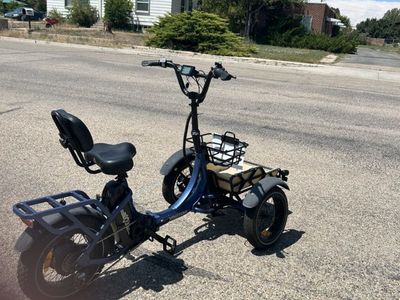 Electric Tricycle 1,100 OBO
