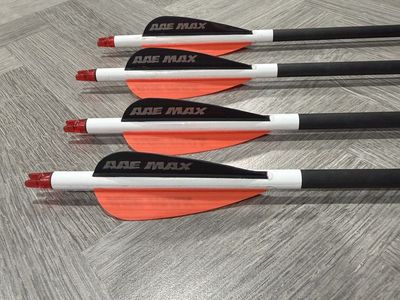 Gold Tip Velocity 300 Arrows with AAE Max Vanes - 4-Pack,