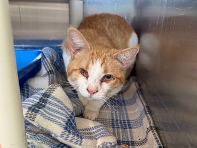 Hello my name is Cohort