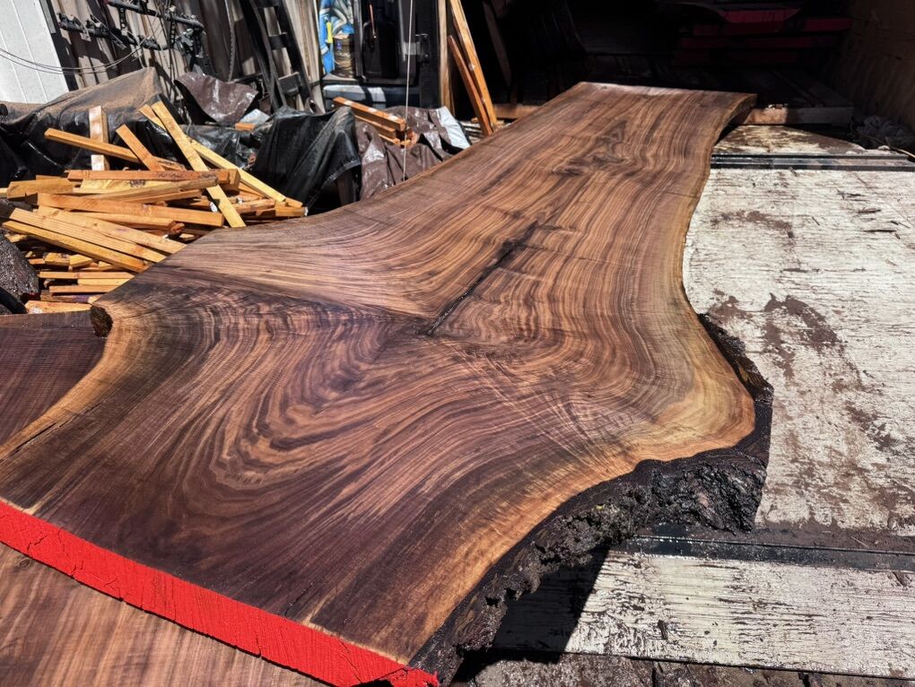 Black Walnut