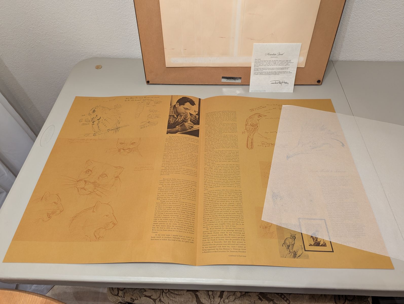 Main image 6