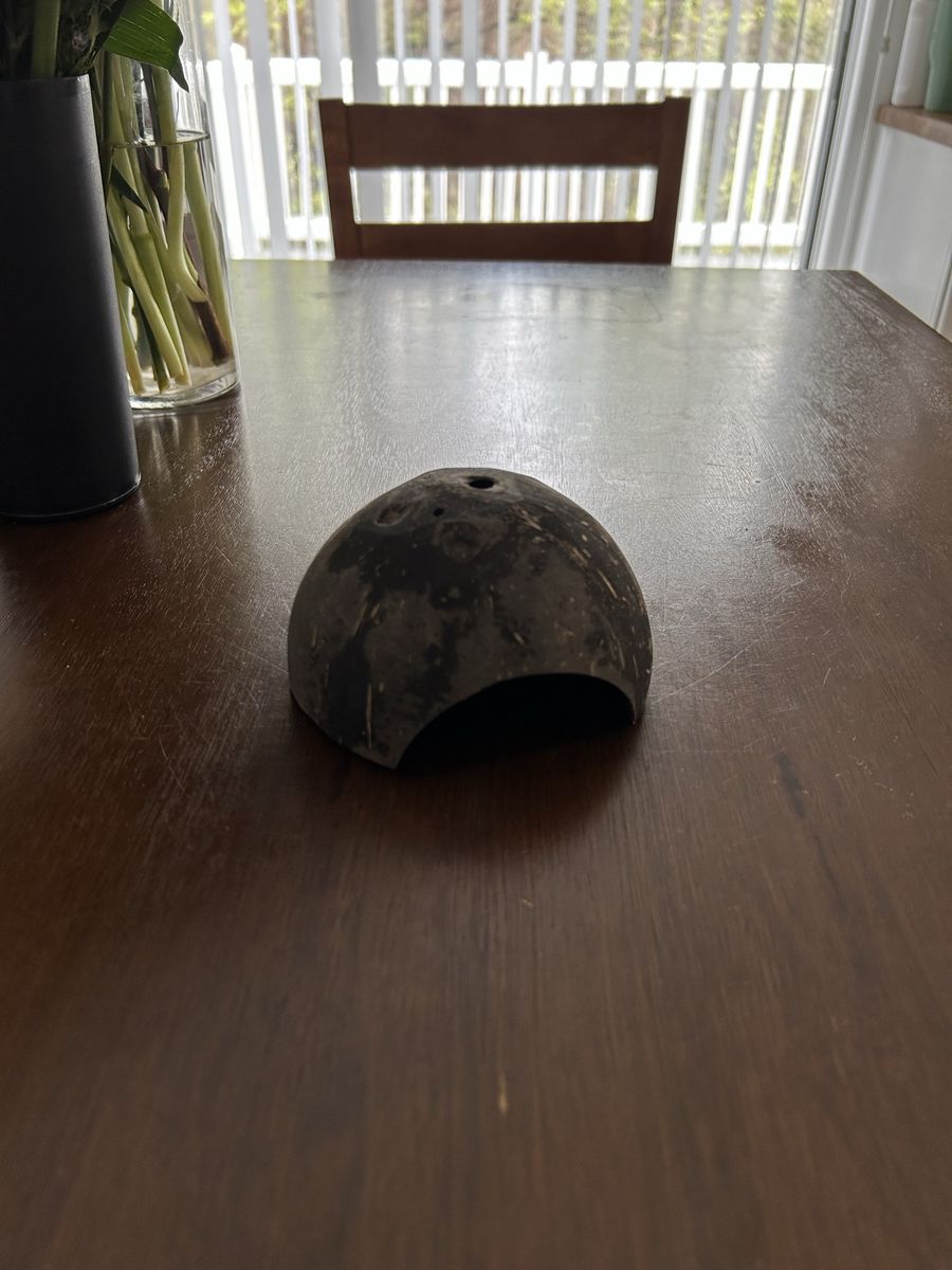 Hamster Coconut Hide