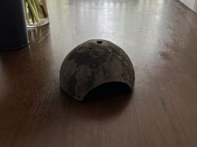 Hamster Coconut Hide