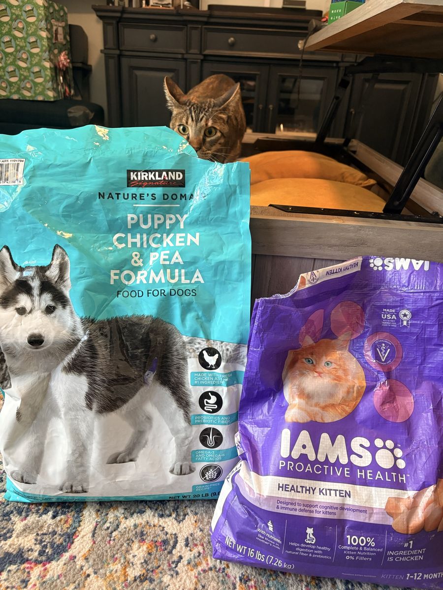 Free expired/opened kitten and puppy food.