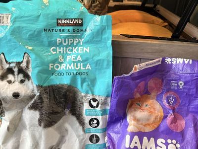 Free expired/opened kitten and puppy food.