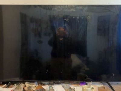 65 inch Roku tv