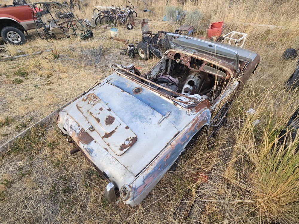 Main image 5