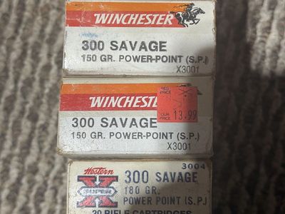 Once fired 300 savage brass