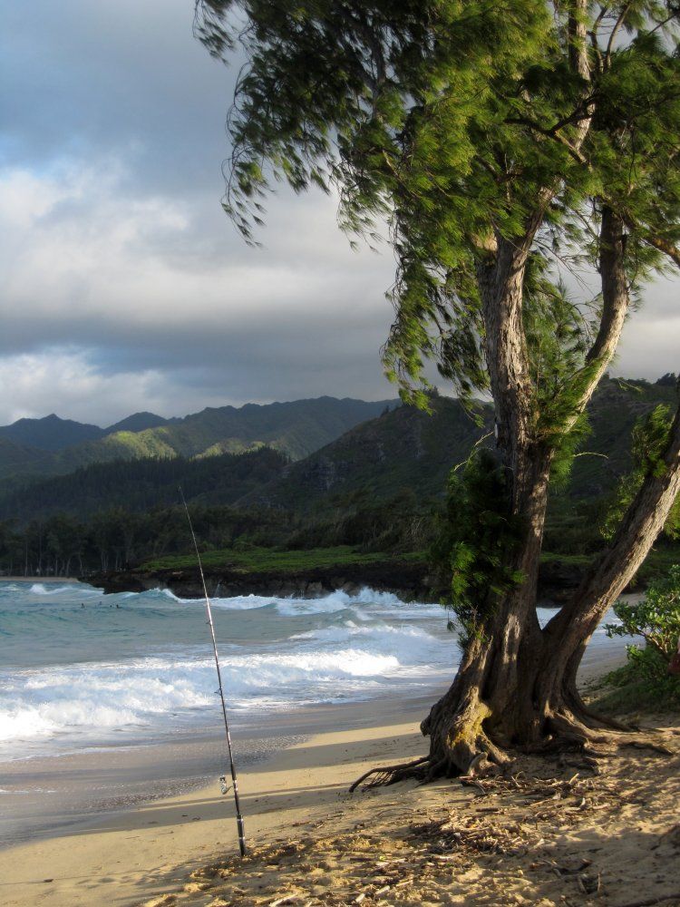 Pounders Beach, Laie, HI