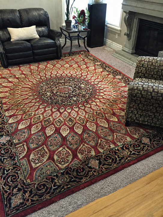 Rizzy Home SN2488 Shine Collection | Wool Area Rug | 9' x 12' | 100% Wool Rug
