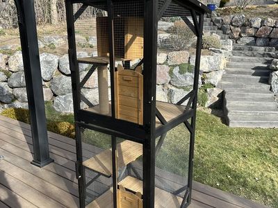 Outdoor Catio Cage Pen For Cats