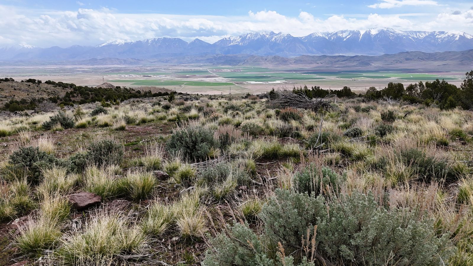 Utah County Views