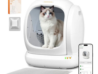 Cat Litter Box Self Cleaning