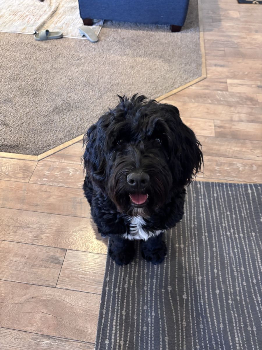 Main image 2