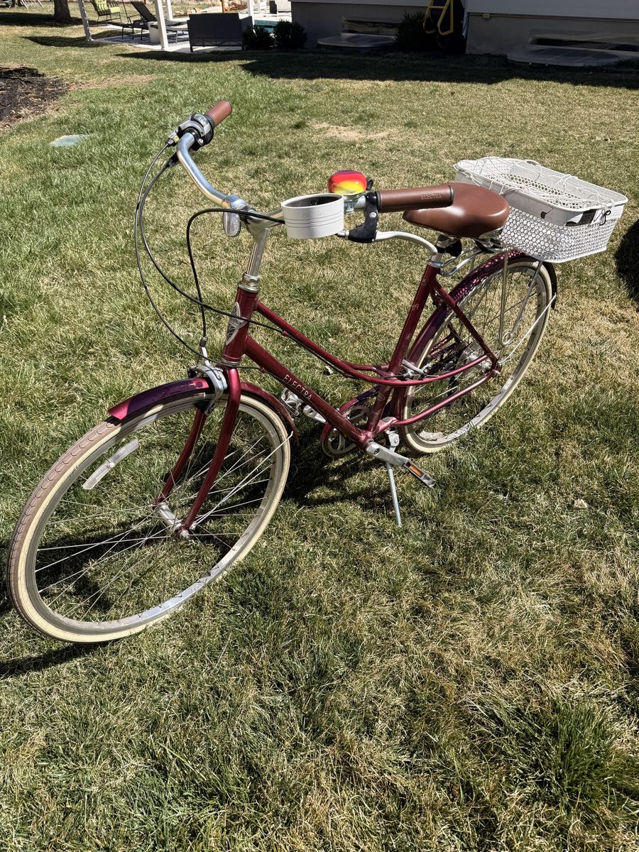 Elektra Cruiser Bike