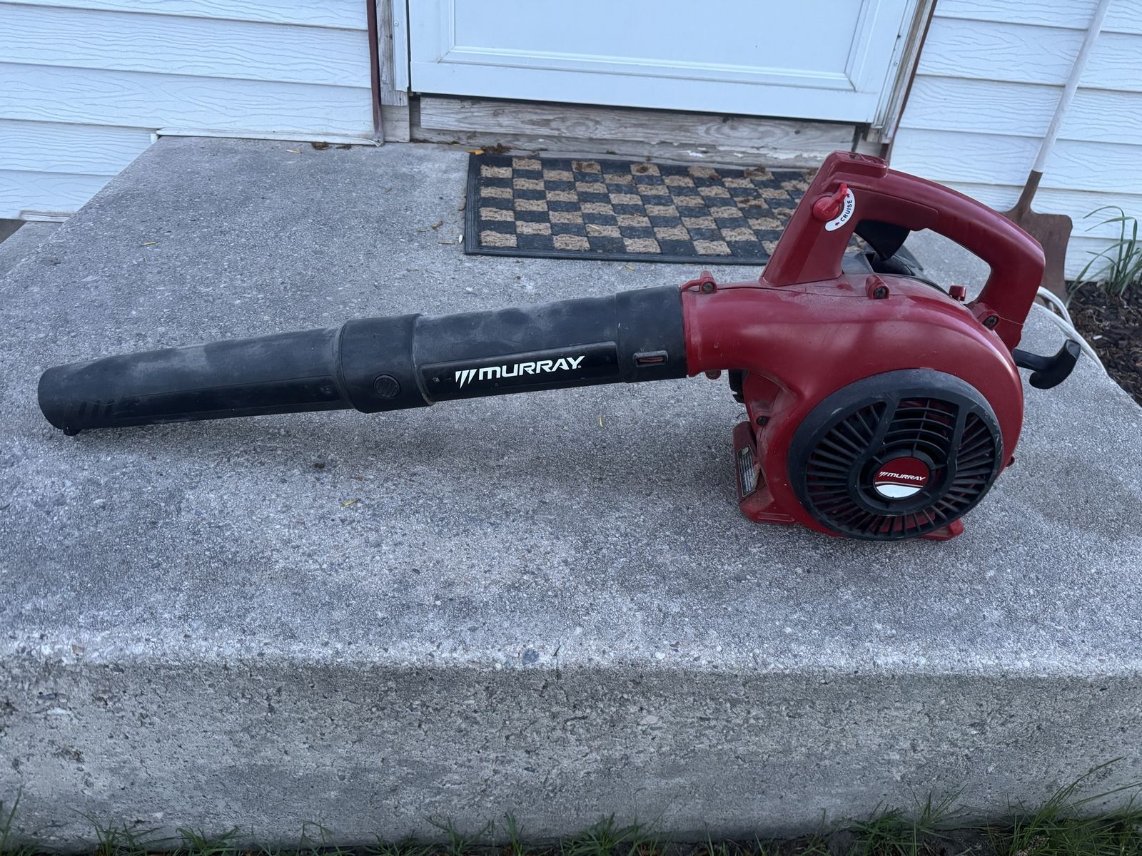 Leaf blower