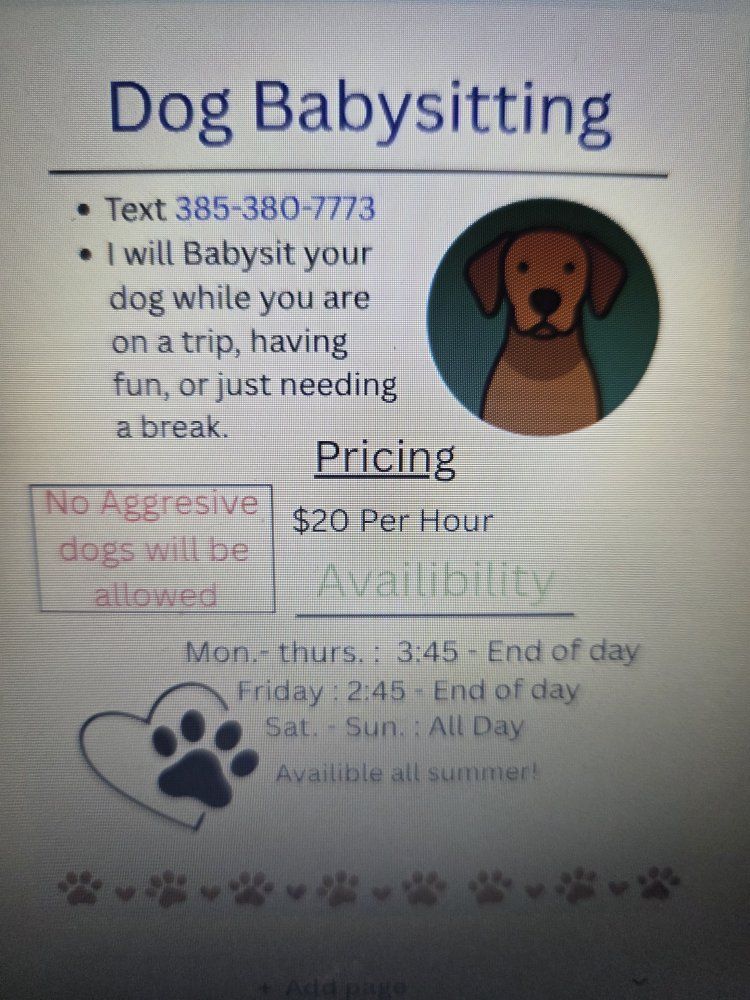 Dog Babysitting Services - $20/hr, Available Mon-Sun, All Summer! Text 385-380-7773