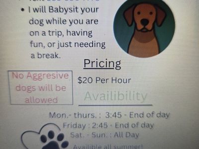 Dog Babysitting Services - $20/hr, Available Mon-Sun, All Summer! Text 385-380-7773