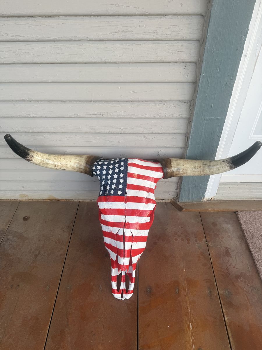 American patriotic painted cow skull