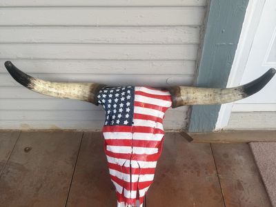 American patriotic painted cow skull