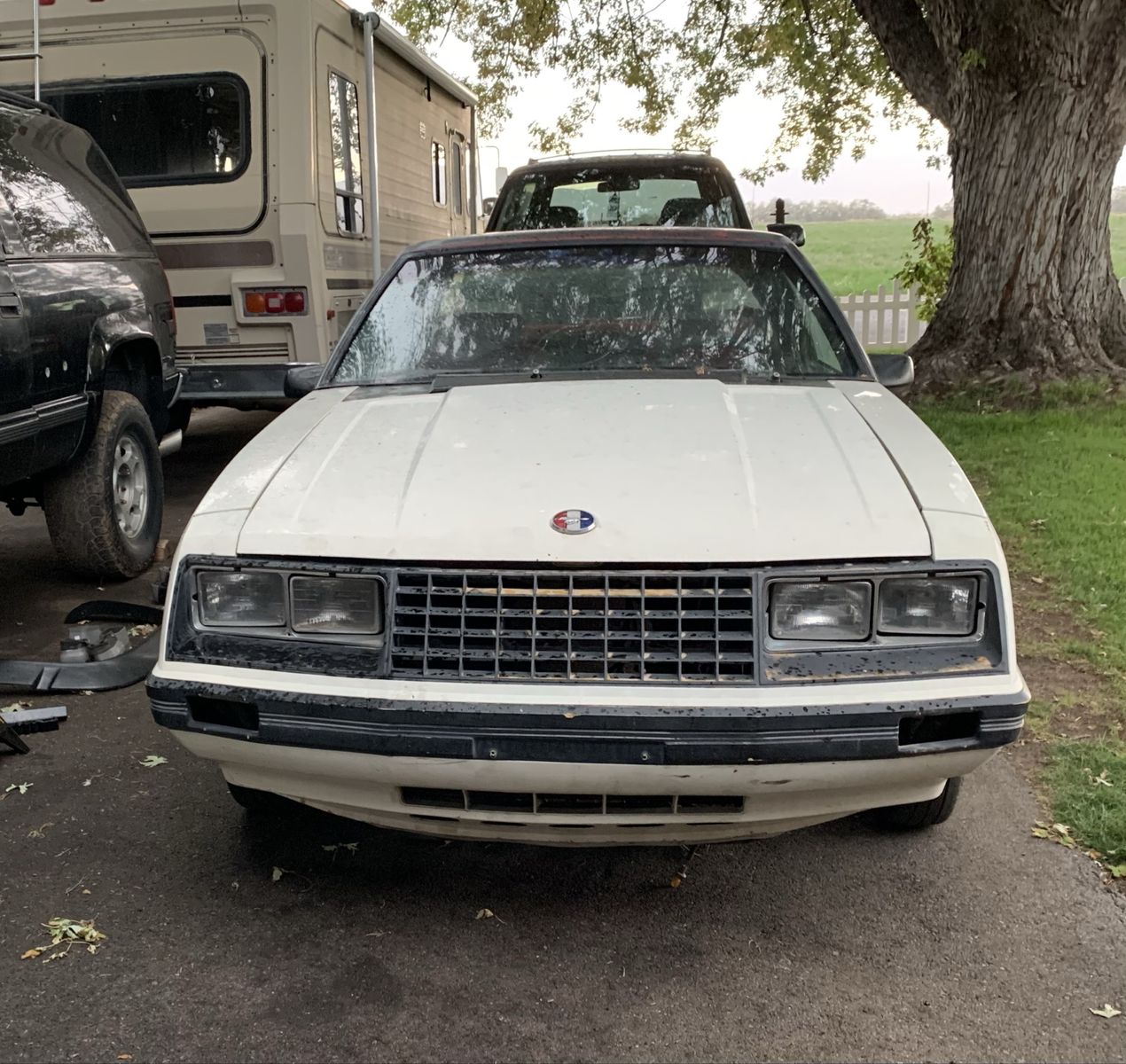 Ford Mustang Foxbody front bumper and hood 1982 