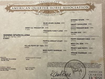 Heel Horse For Sale