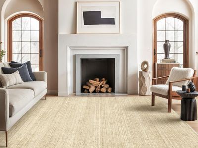 NEW 6x9 Modern Neutral Washable Rug - Stain Resistant Neutral Beige Tan Distressed Boho