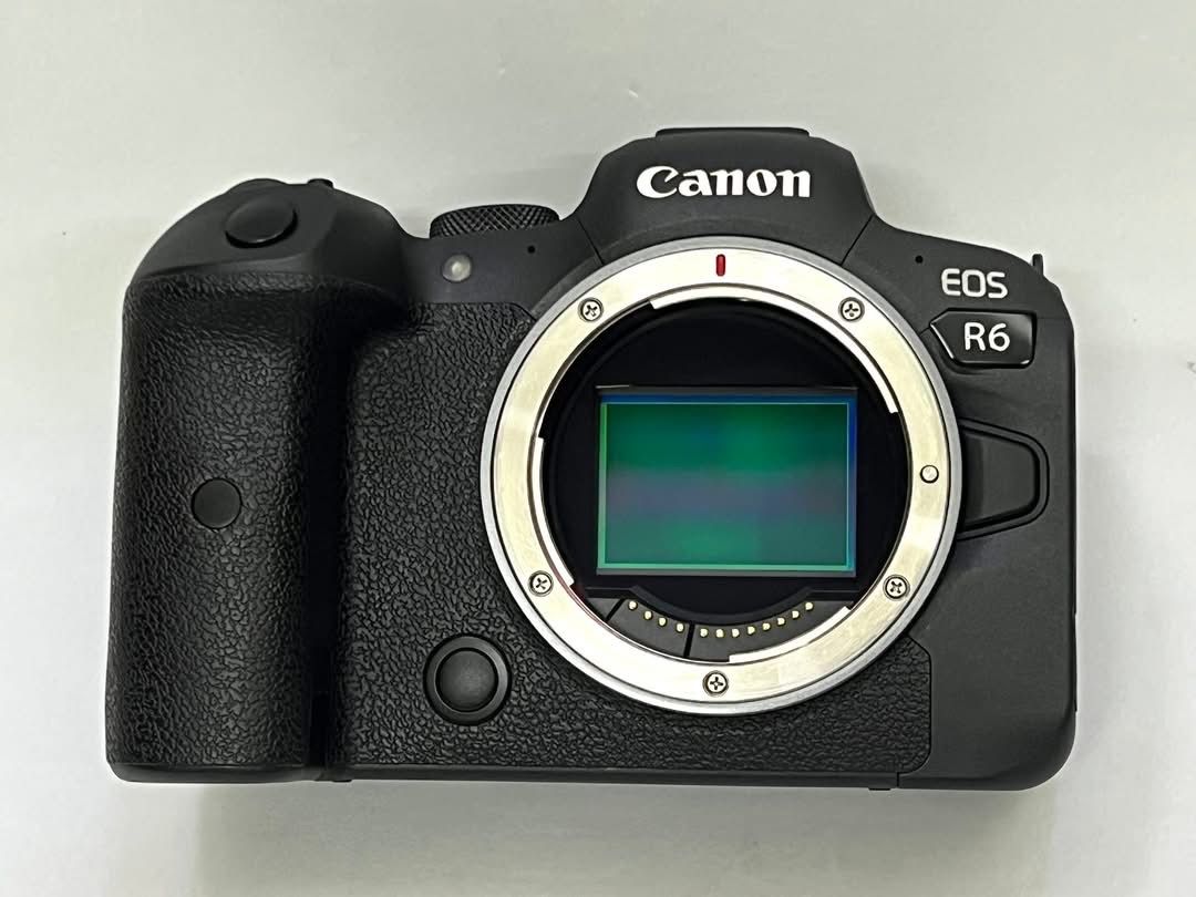 Canon R6 1200$, r8 1100$, 5d iv 790$