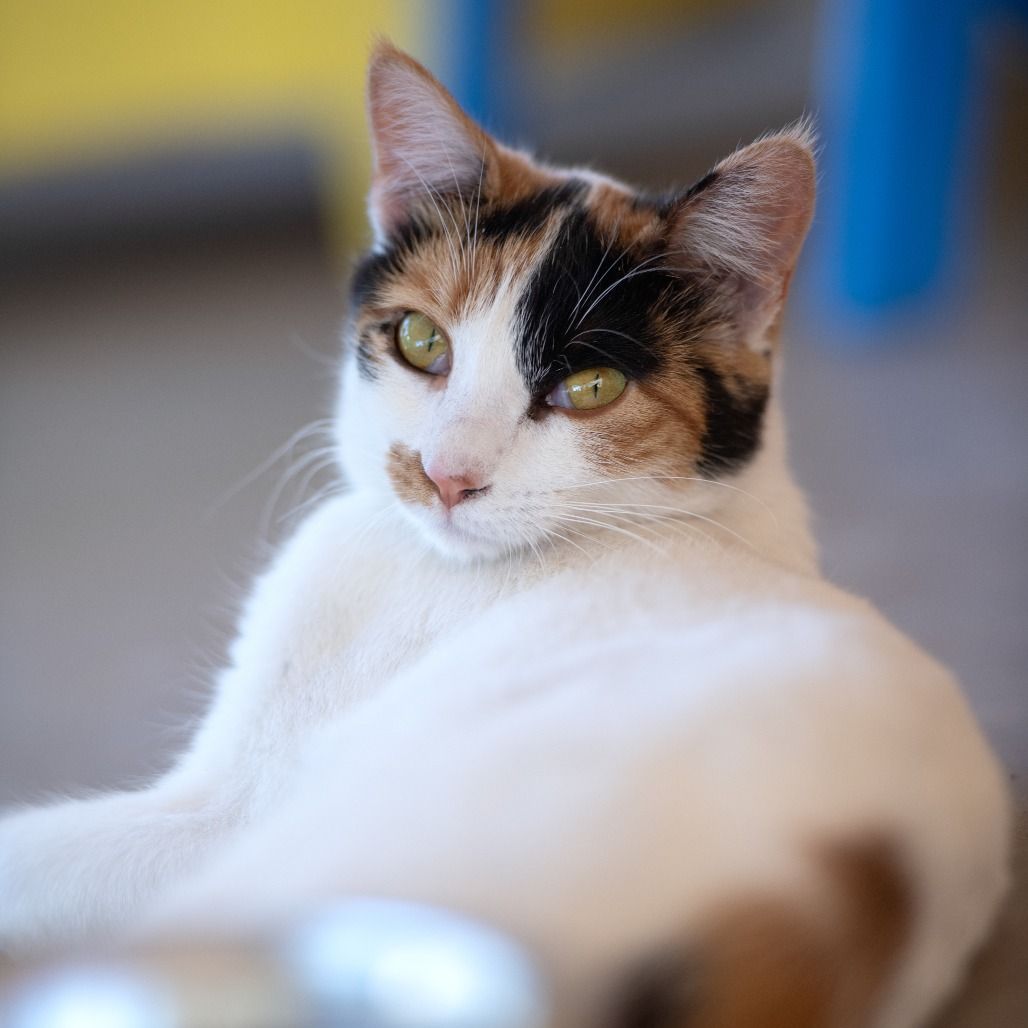 Hello my name is Meagan