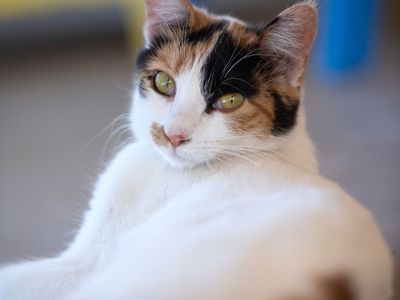 Hello my name is Meagan