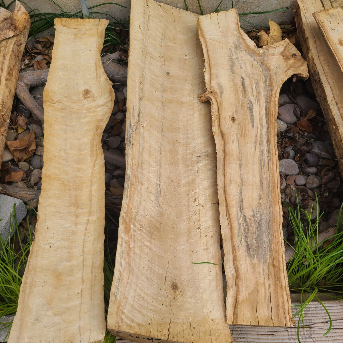 Cottonwood Slabs, (pic 4)$5 board ft Cash only
