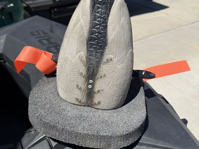 Wonder duck cyclone duck decoy