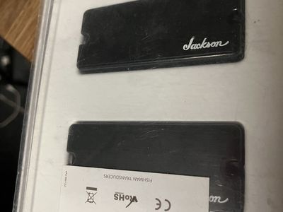 Jackson 7 string pickups.